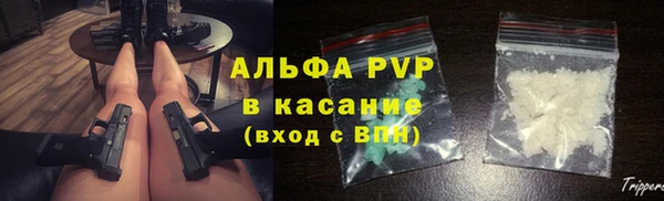 ECSTASY Алзамай