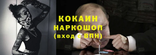 ECSTASY Алзамай