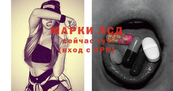 ECSTASY Алзамай