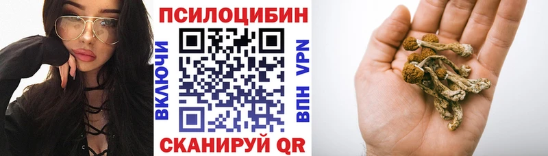 Псилоцибиновые грибы мухоморы  mega зеркало  мориарти клад  Алзамай 